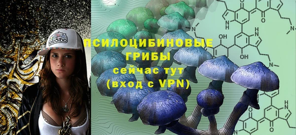 амф Балахна