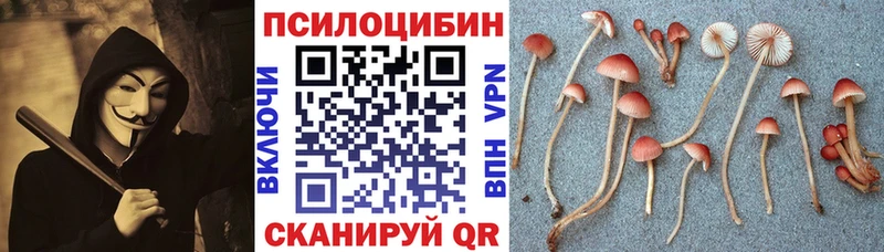 купить закладку Радужный Псилоцибиновые грибы Magic Shrooms